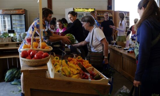 L’Agro Lab de la MRC Papinea  : l’innovation au service d’un système alimentaire plus durable 